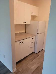 1 Bdrm Apartment - 1 Month Free w/1 Year Lease - Photo 5