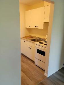 1 Bdrm Apartment - 1 Month Free w/1 Year Lease - Photo 6