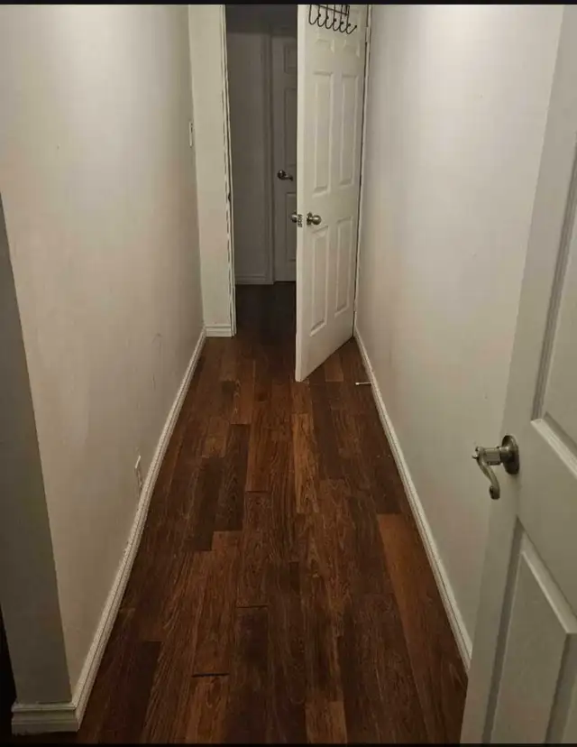 Available  Now - 1 Bed Room Basment Apartmenr