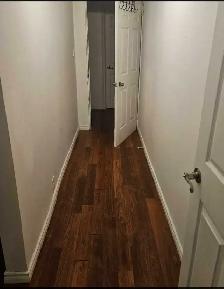 Available  Now - 1 Bed Room Basment Apartmenr