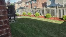 Fall clean up & Landscaping services available now! - Photo 4