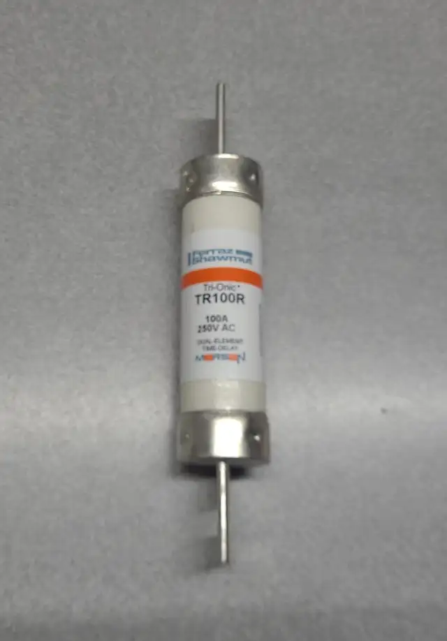 1 FUSIBLE 100 AMPERES 240VOLT TIME DELAY DUAL-ELEMENT TR100R