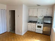 Centretown Bachelor/Studio Apartment for Rent (192 Somerset StW) - Photo 5