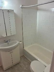 Sandy Hill Bachelor/Studio Apartment for Rent (257 Daly Ave) - Photo 8