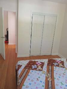 Rooms  for rent - Photo 2