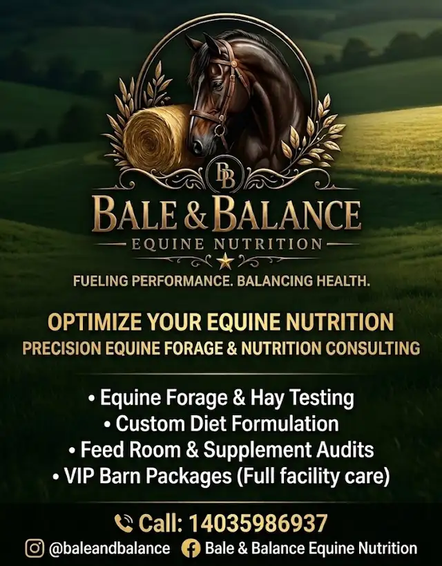 Hay Testing and Equine nutrition Consultation Services