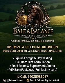 Hay Testing and Equine nutrition Consultation Services