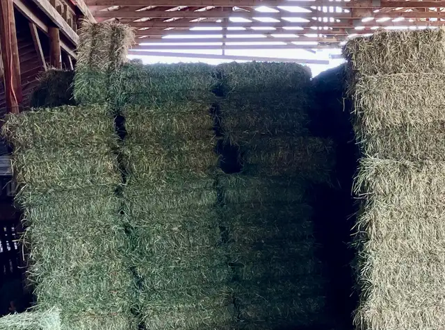 Hay for Sale