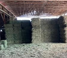 Hay for Sale - Photo 2