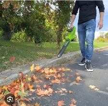 Fall yard clean-up