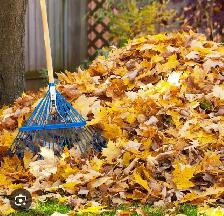 Fall yard clean-up - Photo 2