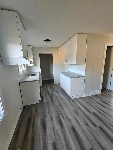 Newly Reno'd Duplex in North Battleford across from BUH for rent