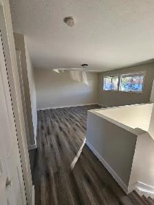 Newly Reno'd Duplex in North Battleford across from BUH for rent - Photo 2