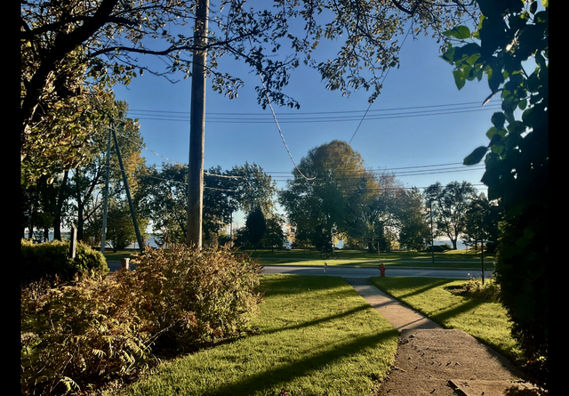 Superbe appartement à partager bord de l’eau Lachine 700$/mois