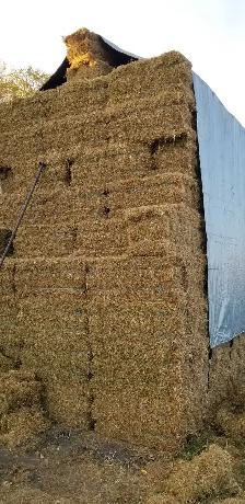 Flax Straw bales near Stonewall