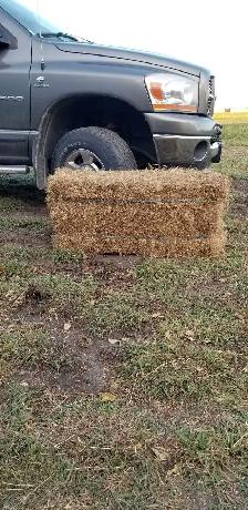 Flax Straw bales near Stonewall - Photo 2