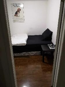 2 Bedroom Basement with 2 Parking Spots for Rent - Photo 3
