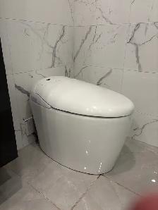 OVE Smart Toilet