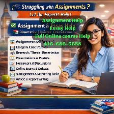 Urgent Assignment help, Urgent essays, Homework, Nursing, Law