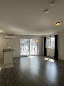 À LOUER – GRAND 4½ GARAGE, STATIONNEMENT, TERRASSE & CABANON - Photo 3