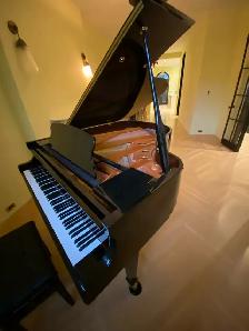 2015 Ritmüller Baby Grand Piano | Prof. Assessed | Free Delivery