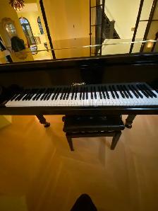 2015 Ritmüller Baby Grand Piano | Prof. Assessed | Free Delivery - Photo 3