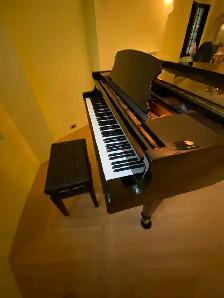 2015 Ritmüller Baby Grand Piano | Prof. Assessed | Free Delivery - Photo 4