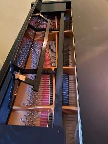2015 Ritmüller Baby Grand Piano | Prof. Assessed | Free Delivery - Photo 6