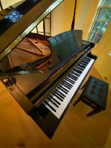 2015 Ritmüller Baby Grand Piano | Prof. Assessed | Free Delivery - Photo 10