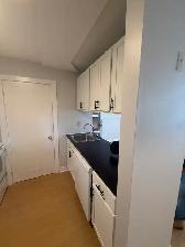 1041 Tower Road - 7 Apartment for Rent - Photo 2