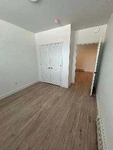 Modern 2 Bedroom Apartment - Newer Building   Parking Included - Photo 7