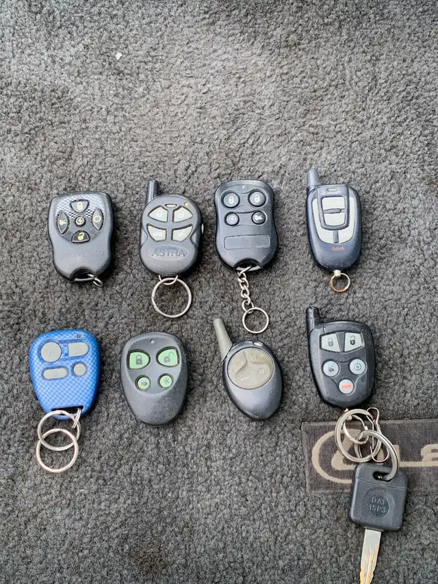 Remote car starter FOB ($50 each).  I do not program.