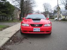 1999 Ford Mustang - Photo 4