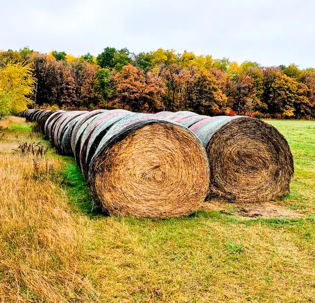 2026 Alfalfa & Grass Mix Round Hay Bales for Sale