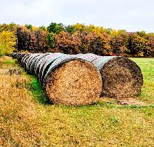 2026 Alfalfa & Grass Mix Round Hay Bales for Sale