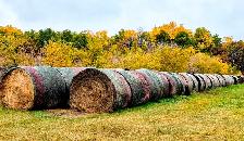 2026 Alfalfa & Grass Mix Round Hay Bales for Sale - Photo 2