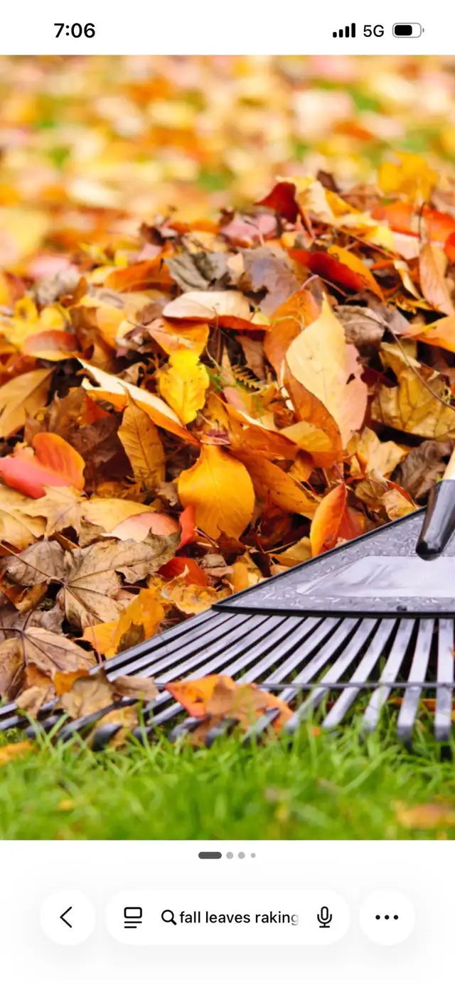 Fall yard cleanup