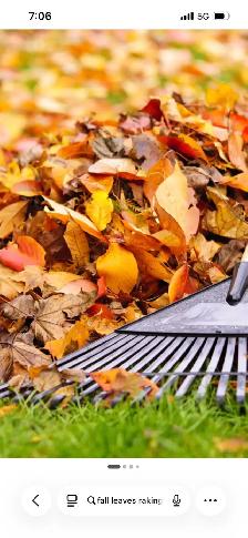 Fall yard cleanup
