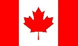 Cours d'anglais ou français en ligne