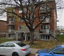 3 1/2 à louer à CDN = Côte-des-Neiges