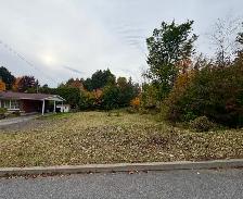 Terrain à vendre rue Vaudreuil (Nord de Sherbrooke)