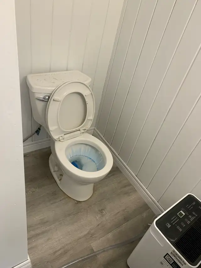 Cleaning Service