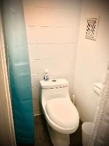 Cozy Private downtown studio for rent at Subway Stn - Photo 5