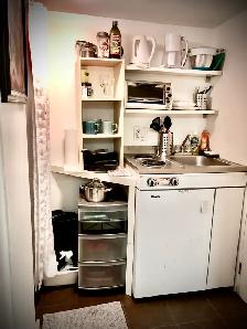 Cozy Private downtown studio for rent at Subway Stn - Photo 6