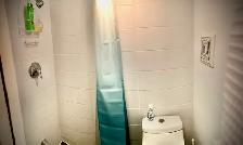 Cozy Private downtown studio for rent at Subway Stn - Photo 7