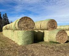 Second cut Hay for Sale
