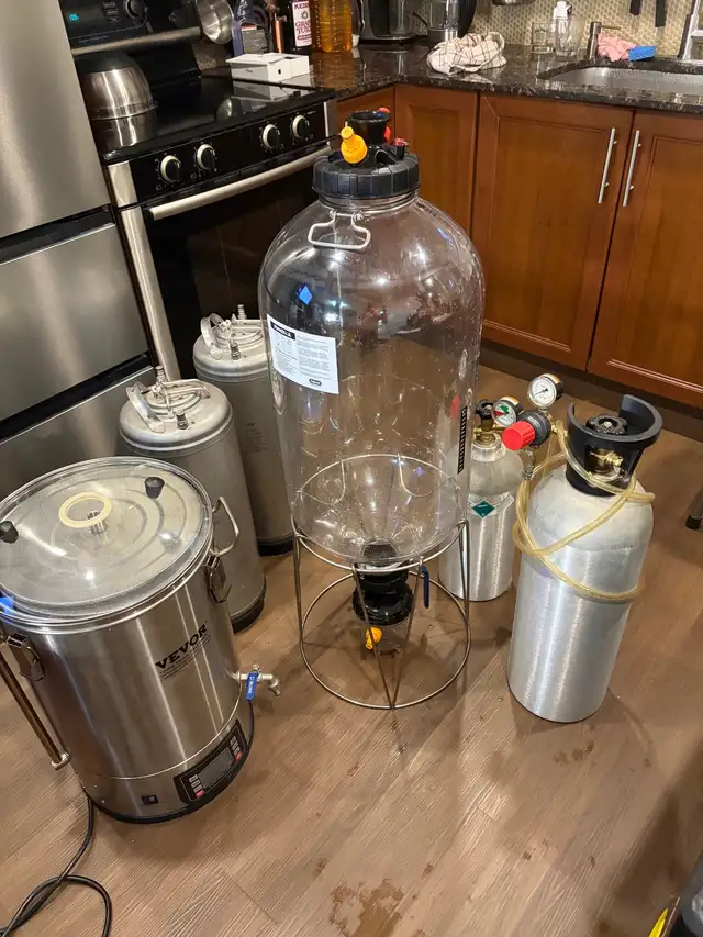 VEVOR Brewing System with Kegs and CO2