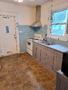 Nov.1 or ASAP-Sunny Rm All Included-Working Male-Long or Short - Photo 11