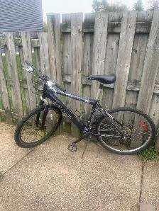 Free everythings free! moving sale bbq, bike, lawnmower, - Photo 4