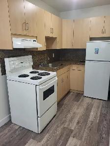 Wolseley Bachelor Suite Available November 1st - Photo 2